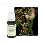 Huile essentielle "Eucalyptus radi&eacute;" - 10 ml