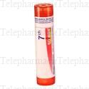 PULSATILLA